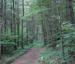 Protected Area Management - B.Sc Forestry Fourth Semester Question Paper 2074 Jesth