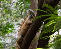 Forest Ecology - Reference Notes, Question Papers