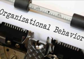 Fundamentals of Organizational Behavior - BBA/BBA-BI/BBA-TT/BCIS/BHCM 4th Sem ’Spring’ Question Paper 2017