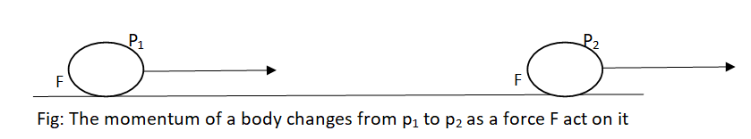 Linear Momentum