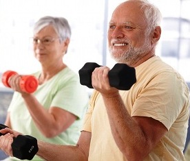 Importance of Physical Exercise - Essay | Free Writing