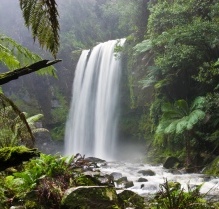 Forest Ecology - B.Sc Forestry Fourth Semester Question Paper 2072 Jesth