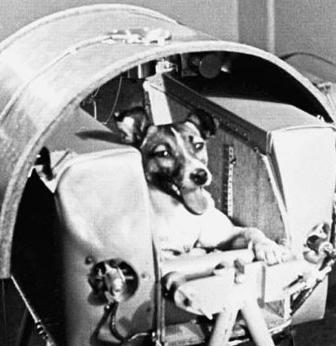 Soviet Union Launches a Dog (Laika) Into Space - November 3, 1957