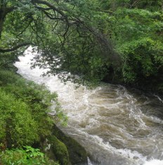 Stream-lined and Turbulent Flow | Equation of Continuity | Physics Grade 11 Notes
