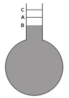 Real and apparent expansion diagram