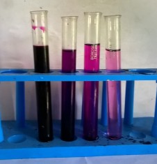 Solubility | Colligative Properties of Solution | Chemistry Grade XI