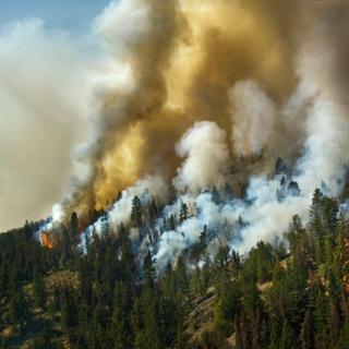 Ecological Imbalances: Green House Effect, Ozone Layer Depletion and Acid Rain