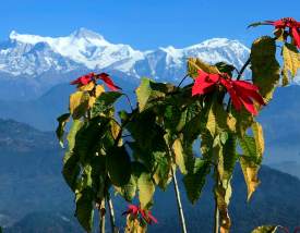 Compulsory Nepali Class 10 (SEE) Question Paper 2073 (2017) 105’PU’