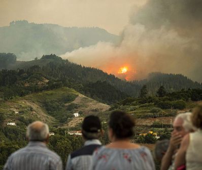 A Gas Station Burns in the Forest: Illuminating Our Moral Legacy - Summary
