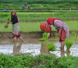 Nepali Class 10 (SEE) Question Paper 2074 (2018) 106’AC’