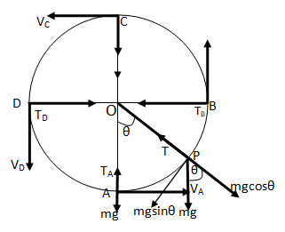 Motion in a vertical circle
