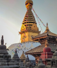 Compulsory Nepali Class 10 (SEE) Question Paper 2075 (2019) RE-106’FP’
