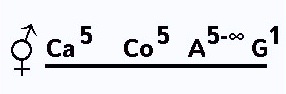 Floral formula of Liguminosae