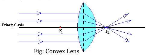 Convex Lens