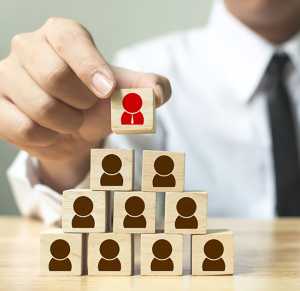 Forms of Organization Structure