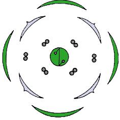 Floral Diagram of Cruciferae