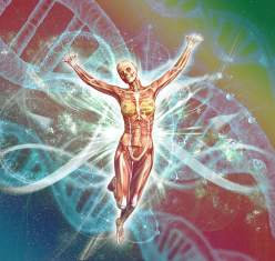 Biology - Grade XII Question Paper 2075 (2018)