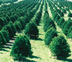 Forest Protection - Reference Notes, Question Papers