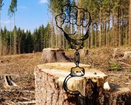 Forest Protection - B.Sc Forestry Fourth Semester Question Paper 2073 Ashadh
